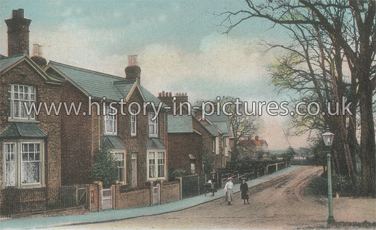 Avenue Road, Witham, Essex. c.1906